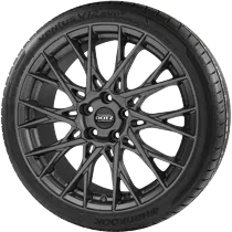 Dotz Fuji with tire